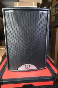 Martin F12 audio speaker