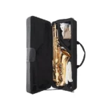 Best alto saxophone for beginners
