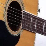Daddario acoustic guitar