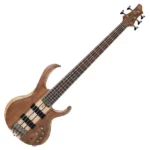 Ibanez 5 string