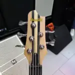 SDGR 5 String Bass Guitar
