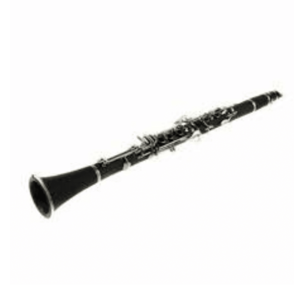 wind instrument