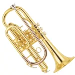 Cornet price Nairobi