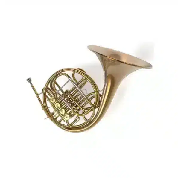 wind instrument