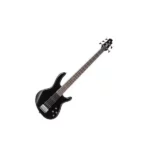 Ibanez 5-string bass review