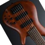 Ibanez 6 string bass guitar features