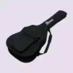 Ibanez soft case
