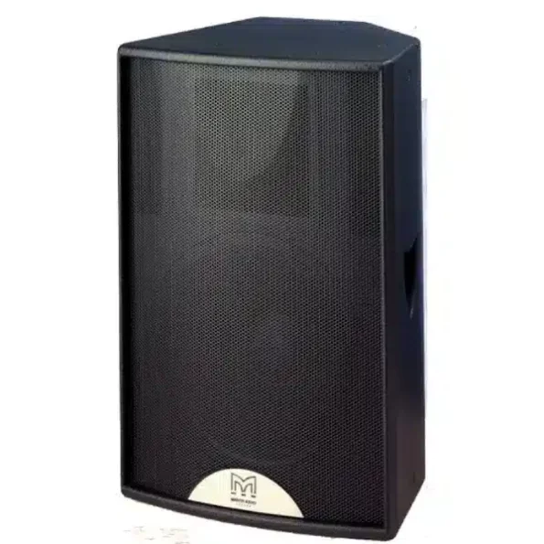 Martin F12 audio speaker