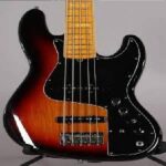 5-string Jazz Bass case