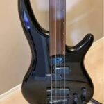 Ibanez SDGR review