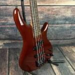 Ibanez SDGR review