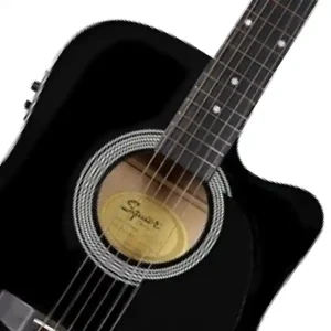 Fender semi-acoustic for beginners Kenya