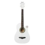 IRIN-38-Inch-6-String-Acoustic-Guitar price