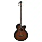 Ibanez Semi-Acoustic Guitar best deals