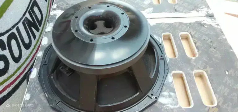 PD speakers