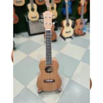 Best Professional 24 Inch Ukulele
