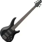 trbx305 bass guitar
