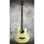Semi acoustic bass guitar for studio recording in Nairobi