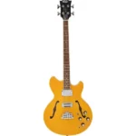 Top-rated semi acoustic bass guitar in Kenya