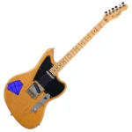 Professional Fender rhythm guitar
