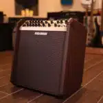 Fishman Loudbox Combo reviews