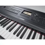 acoustic piano