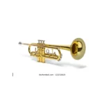 Silver gold trumpet