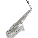 luxury saxophone
