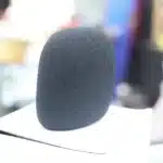 Mic sponge,