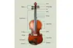 Violin Instrument 101: Best Guide To All Level Players 5 violin instrument anatomy