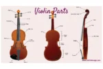 Violin Instrument 101: Best Guide To All Level Players 6 violin instrument