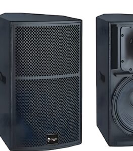 Thunder Sound TS1 12 loudspeaker