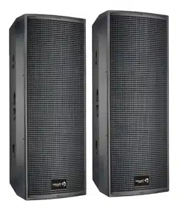 Thunder Sound TH215 Passive Speaker features