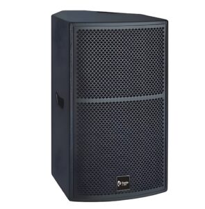 Thunder Sound TS1 12 loudspeaker Two-way full-range