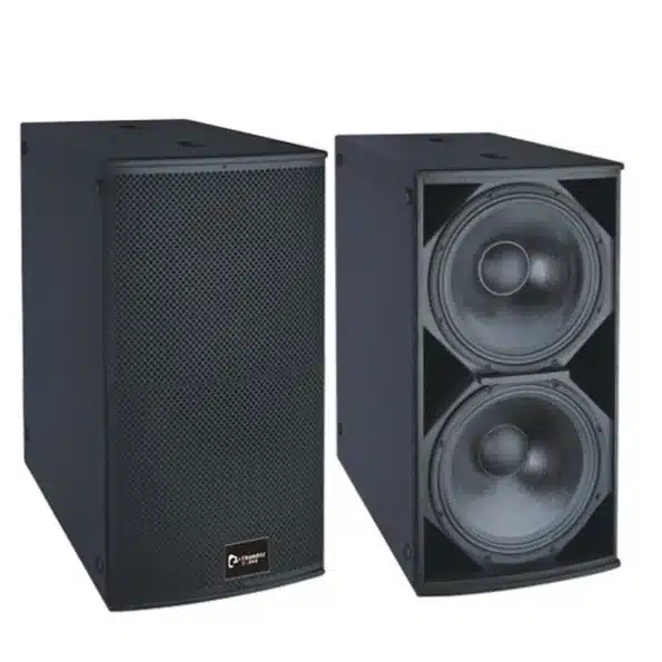 Thunder Sound TS228 18-inch Subwoofer