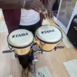 Bongo Drums