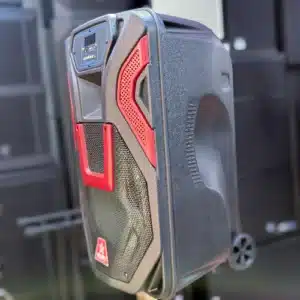 Borl 0415 quality PA speaker