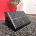 Thunder Sound TS112M 12" Passive Stage Monitor
