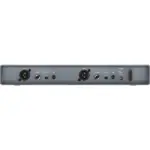 entry-level wireless microphone