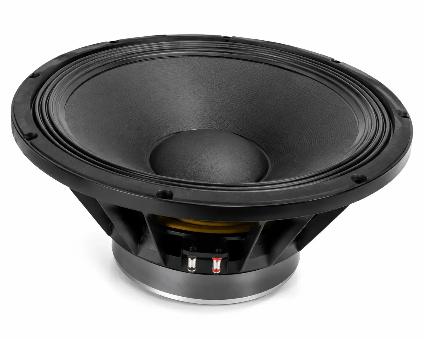 The PD 1890 Speaker