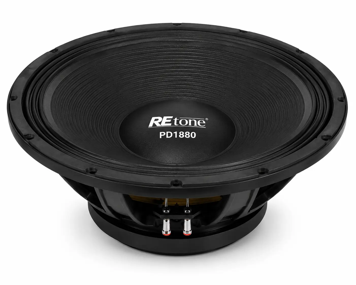 Retone PD1880 18 Inch Speaker In Kenya
