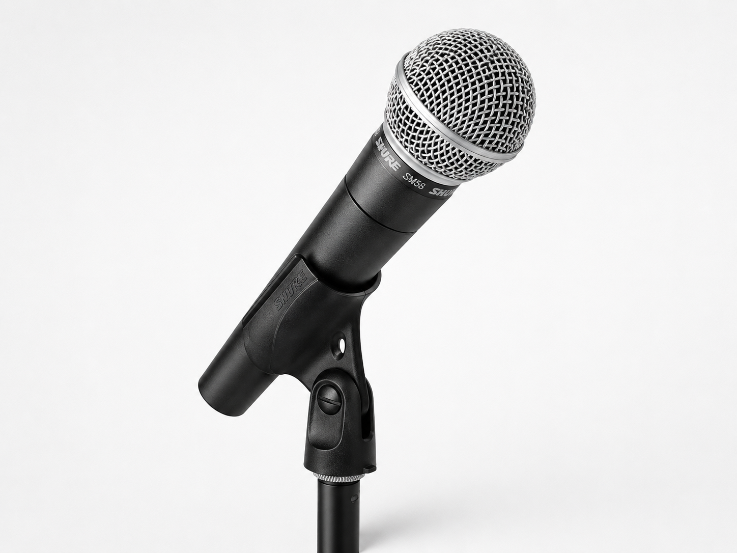 Shure SM58 professional stage mic