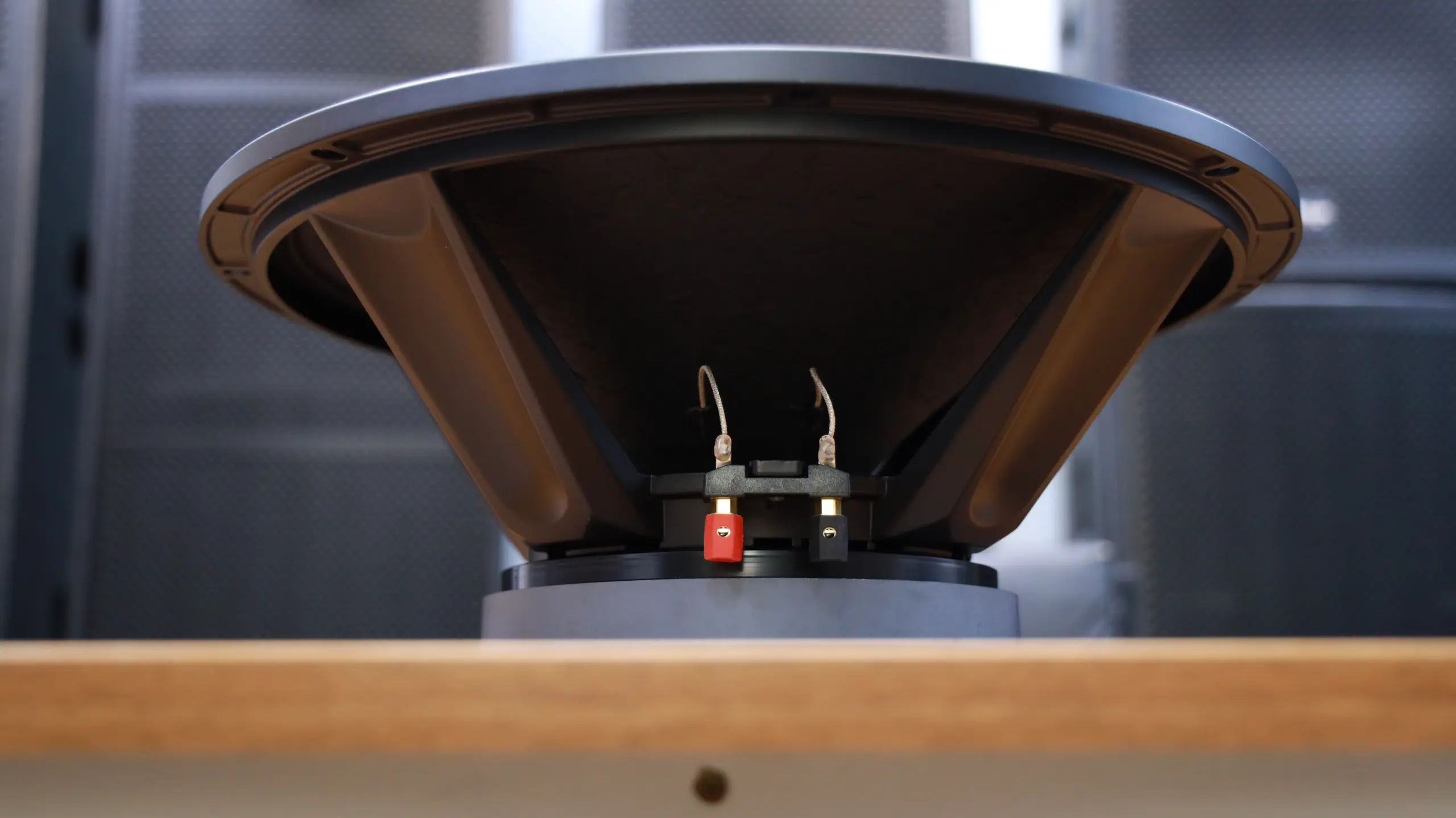 Why the Derwel 12DL202 Is a Dependable 12-Inch Speaker Driver for Sound System Upgrades 8 Derwel 12DL202 12 Inch Speaker Driver