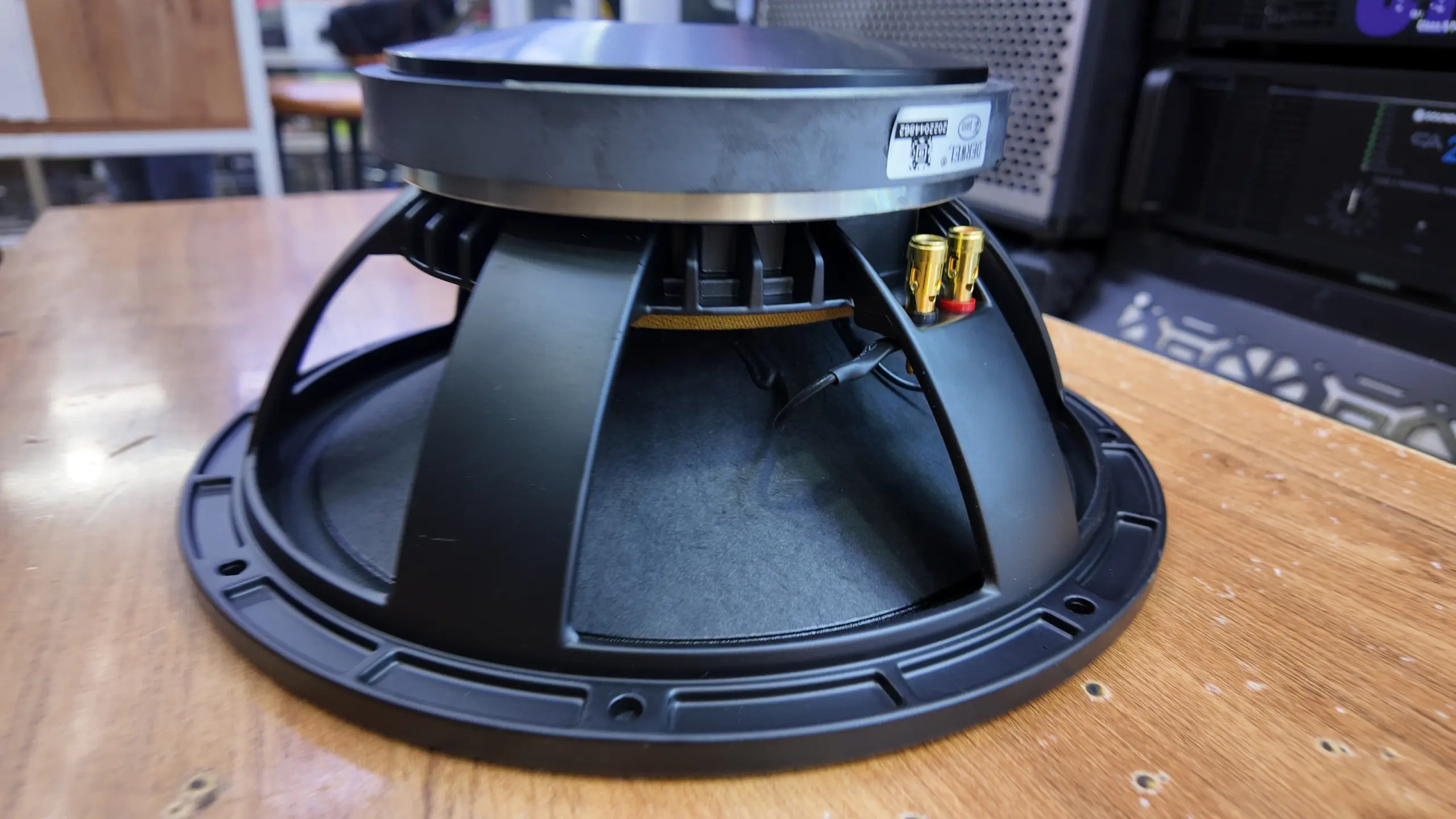 Derwel 12AH975 Loudspeaker Kenya – Best 12-Inch Driver for PA and Monitor Repairs 11 12 inch loudspeaker Kenya