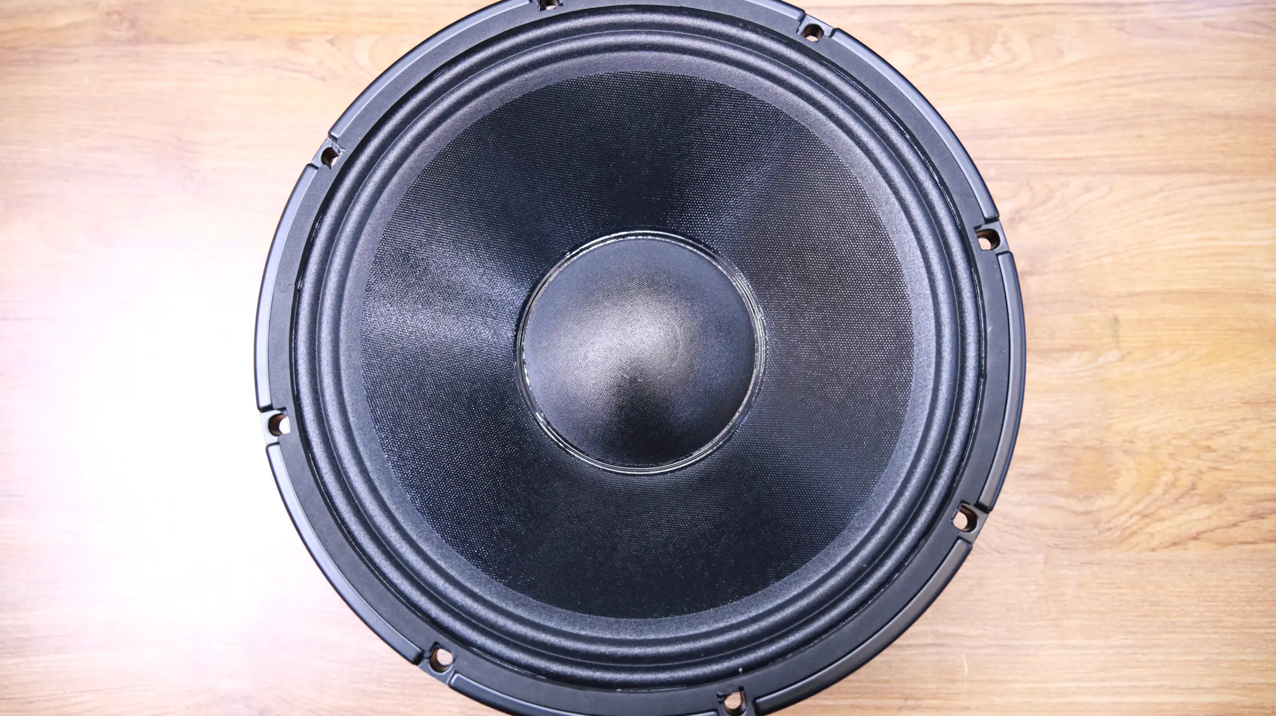Derwel Precision 12WK301 12-Inch Low Frequency Transducer for Professional Sound Systems 8 12 inch low frequency transducer