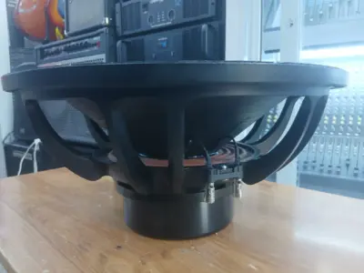 Best Neodymium 18SW125 PA Subwoofer – Ideal for Events 13 18SW125 bass speaker