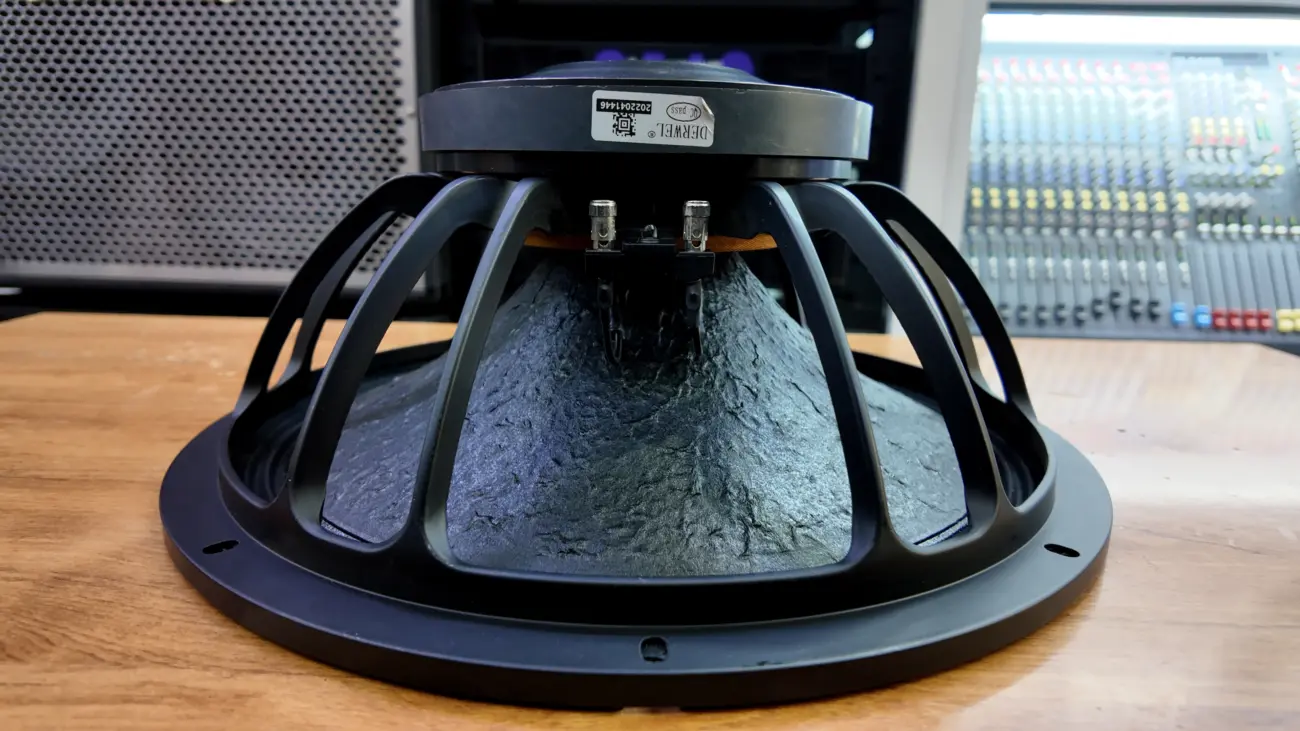 Derwel naked speaker