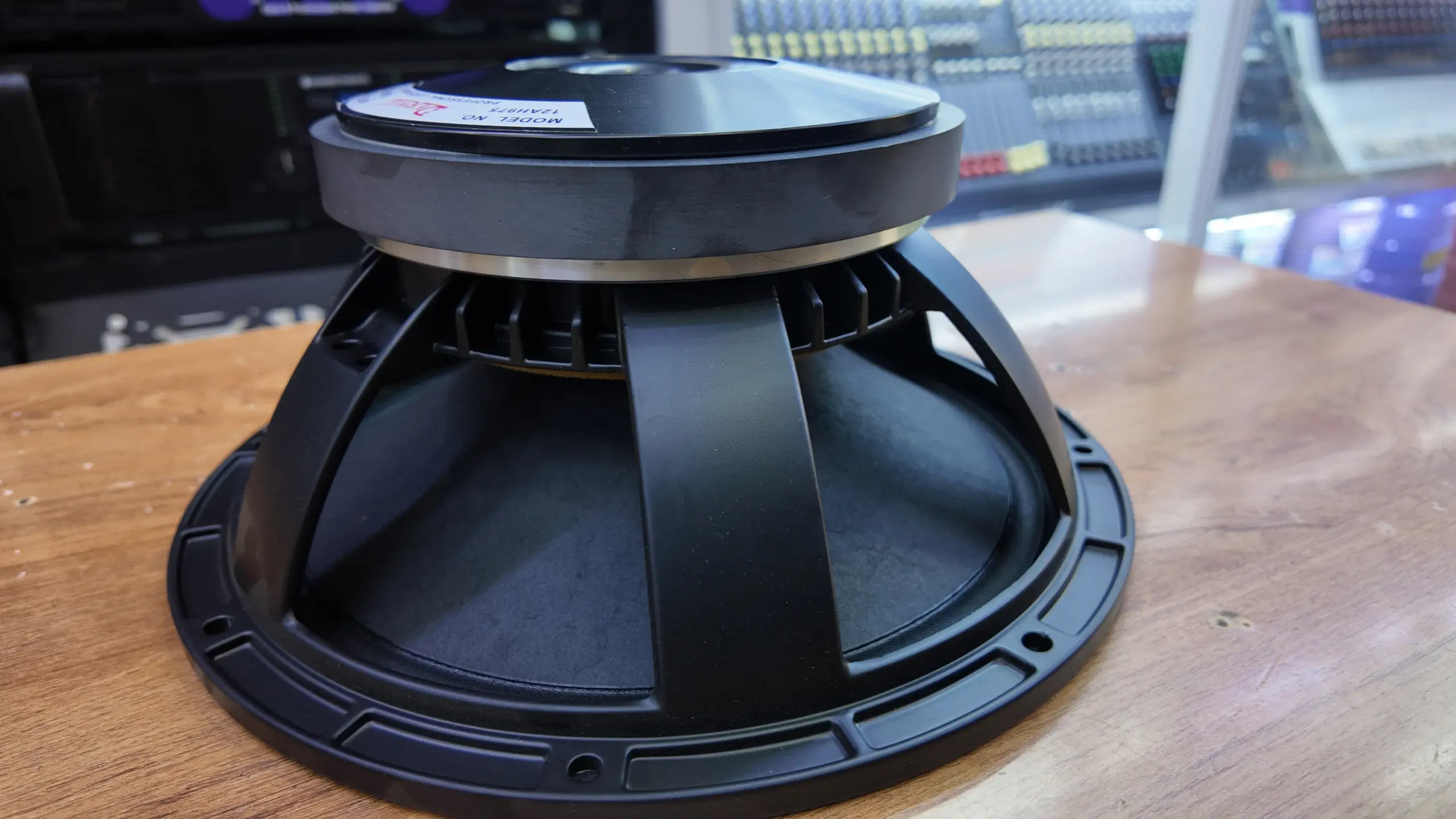Derwel 12AH975 Loudspeaker