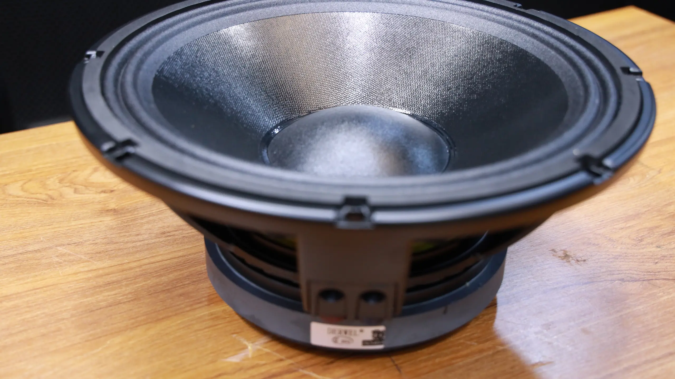 Derwel Precision 12WK301 12-Inch Low Frequency Transducer for Professional Sound Systems 6 Derwel Precision 12WK301