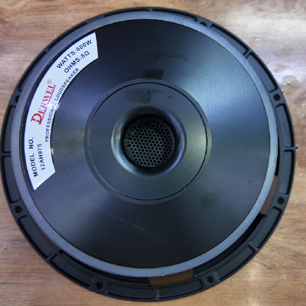 Derwel 12AH975 Loudspeaker Kenya – Best 12-Inch Driver for PA and Monitor Repairs 10 Derwel 12AH975 Loudspeaker Kenya